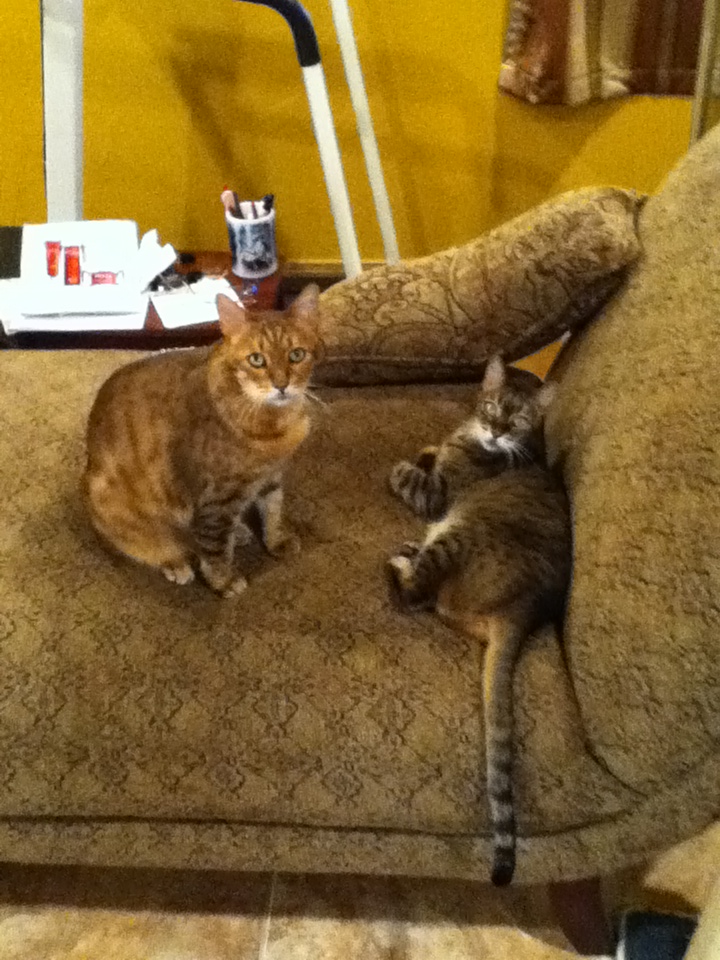 Isis and Ramses